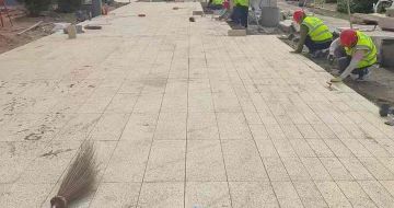 贺州黄金麻荔枝面地铺案例