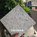 贺州 芝麻白荔枝面干挂