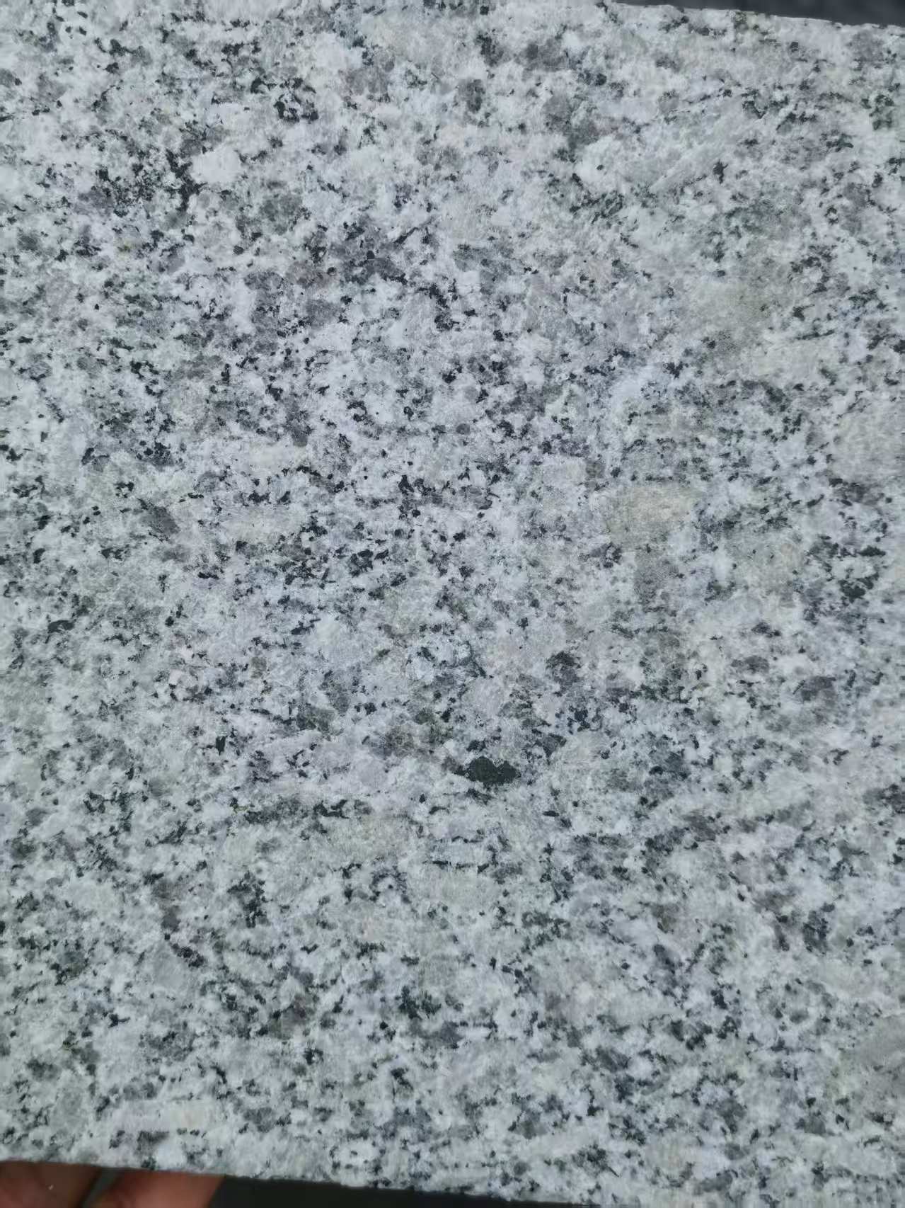 贺州 芙蓉白火烧面