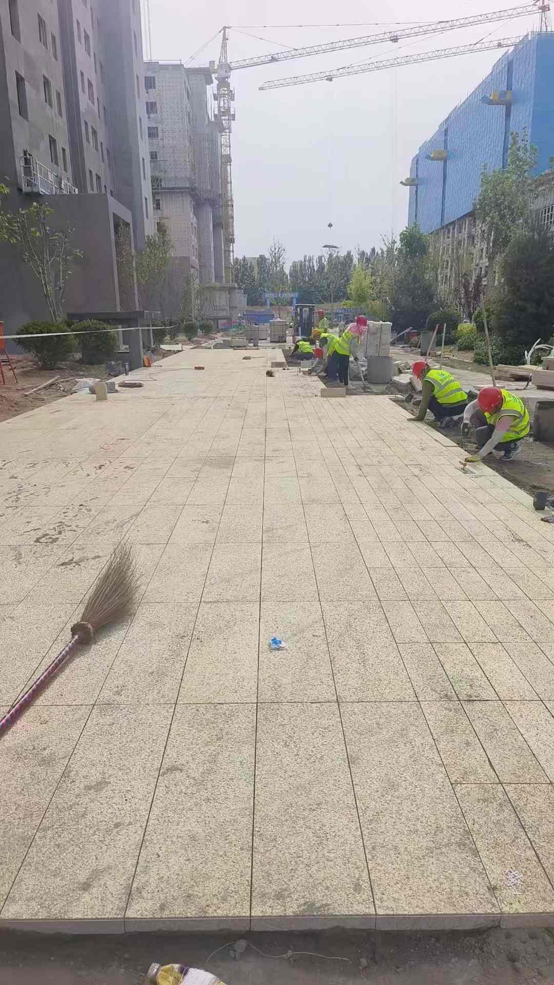 贺州黄金麻荔枝面地铺案例