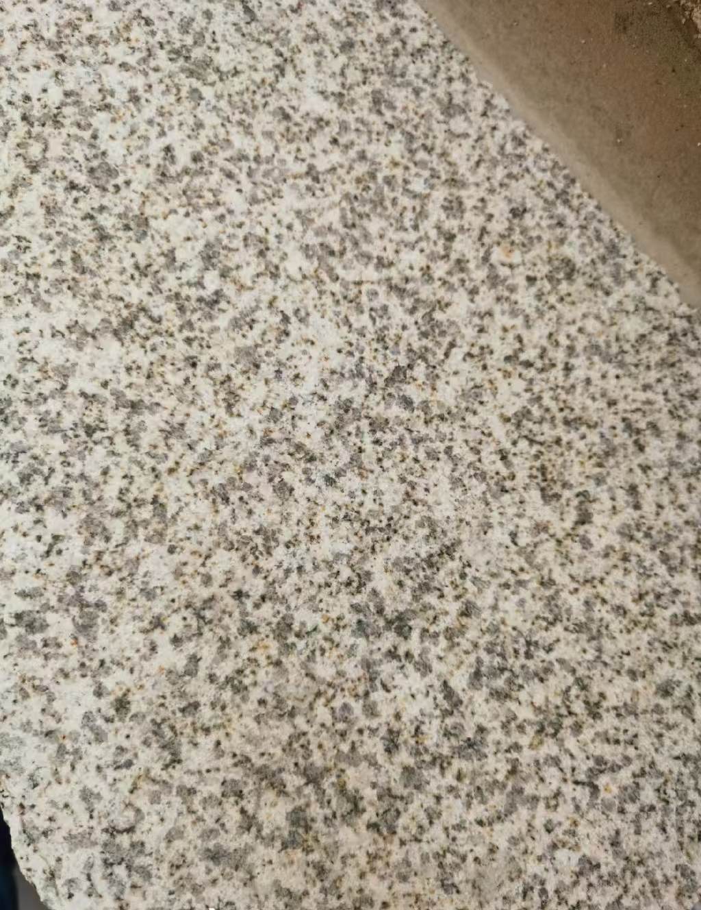 贺州 黄金麻中黄光面